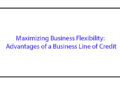 Maximizing Business Flexibility: Advantages of a Business Line of Credit